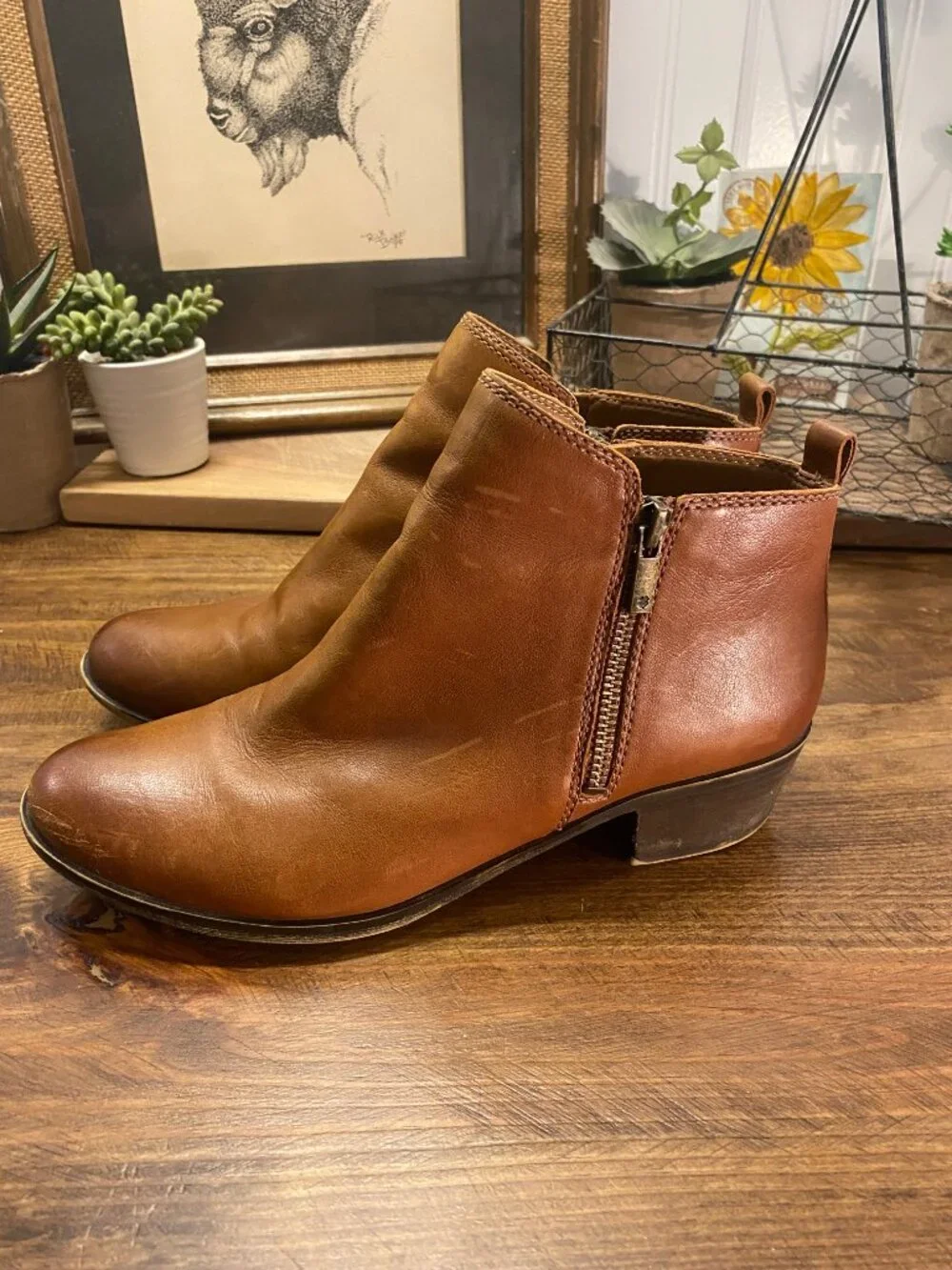 LUCKY BRAND Basel Ankle Boots - Distressed Brown Leather Boots - Womens Size 8.5